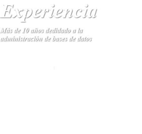 Experiencia